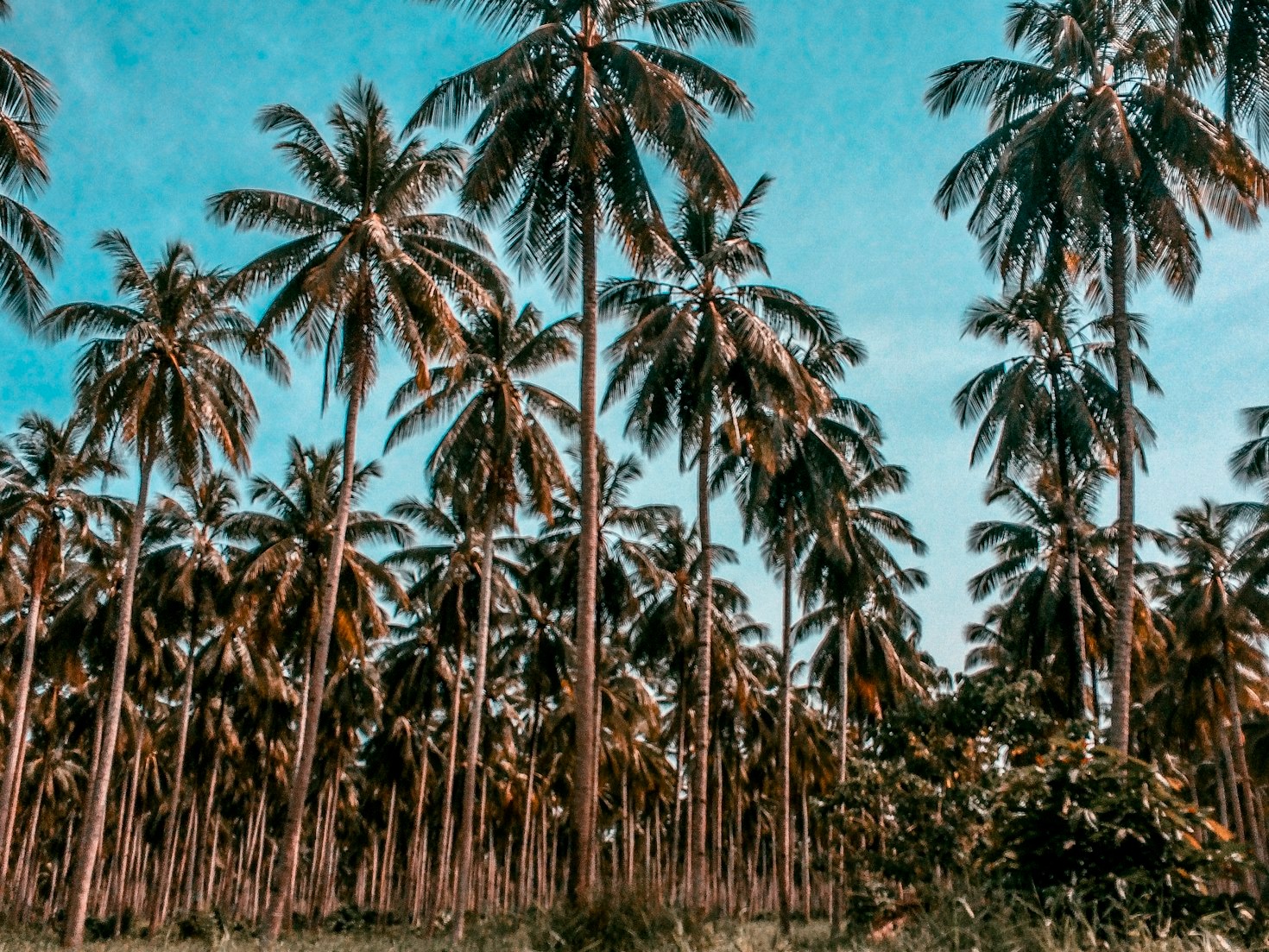 The Best Island Hopping Routes for First-Timers