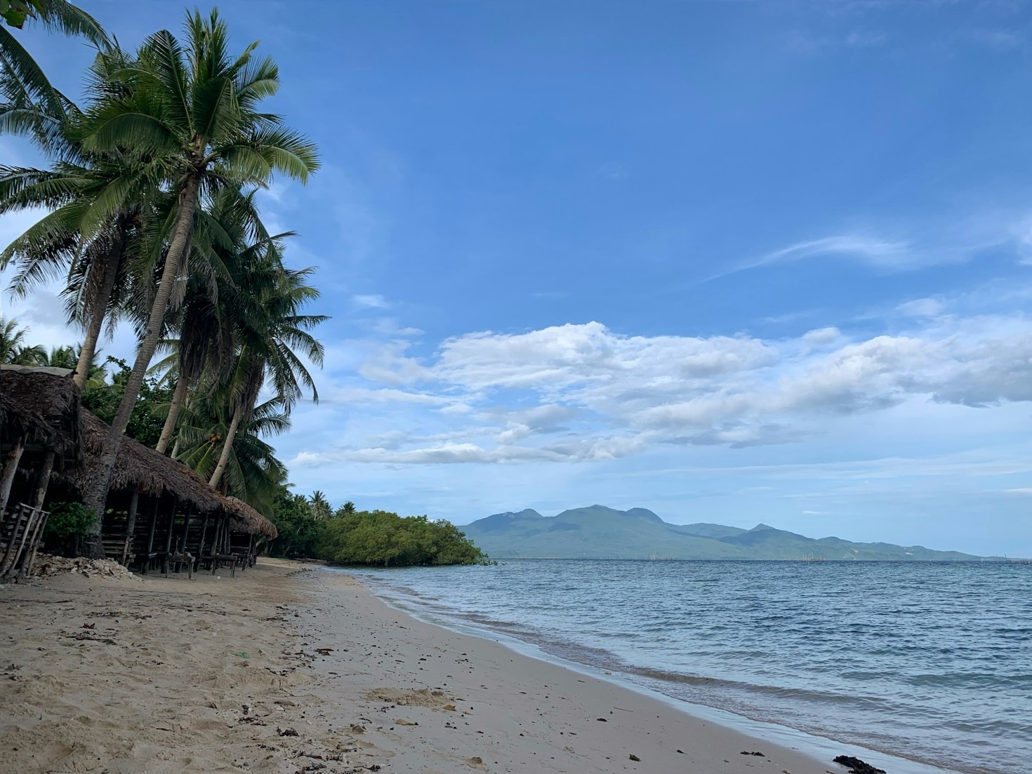 Challenges and Joys of Relocation to the Tropics